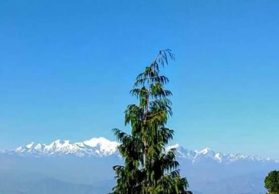 The Mountain View Leilighet Darjeeling  Eksteriør bilde